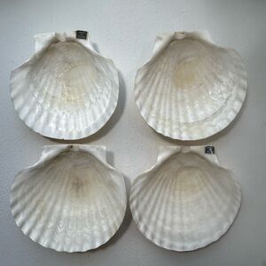 Vintage set of 4 shell shape scallop appetizer dishes @ 16 small shell dishes